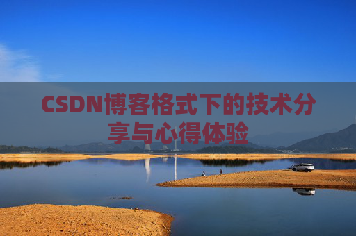 CSDN博客格式下的技术分享与心得体验